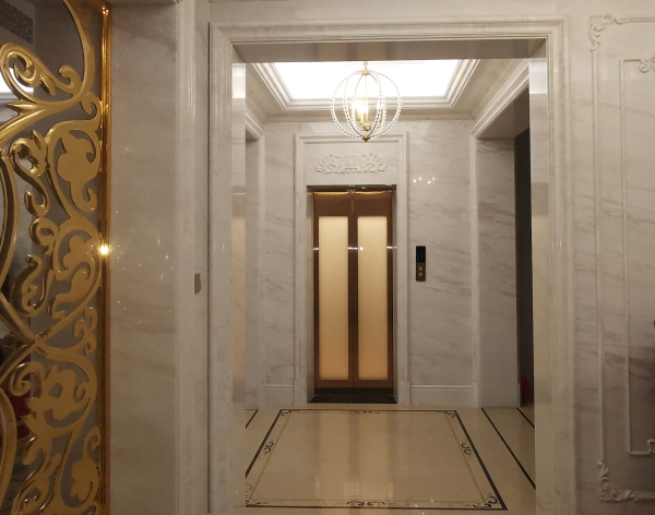 2020年家用電梯尺寸規(guī)格尺寸大全，巨菱專業(yè)推薦！